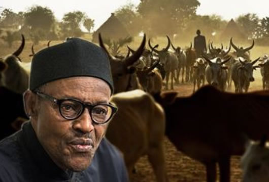 buhari herdsmen