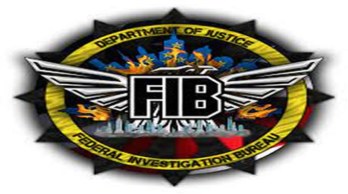 FIB