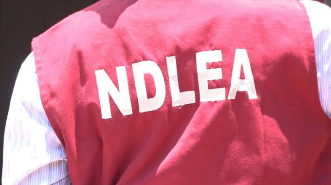 NDLEA