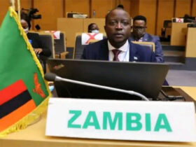 Zambia's foreign minister