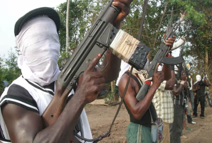 gunmen, local government chairman