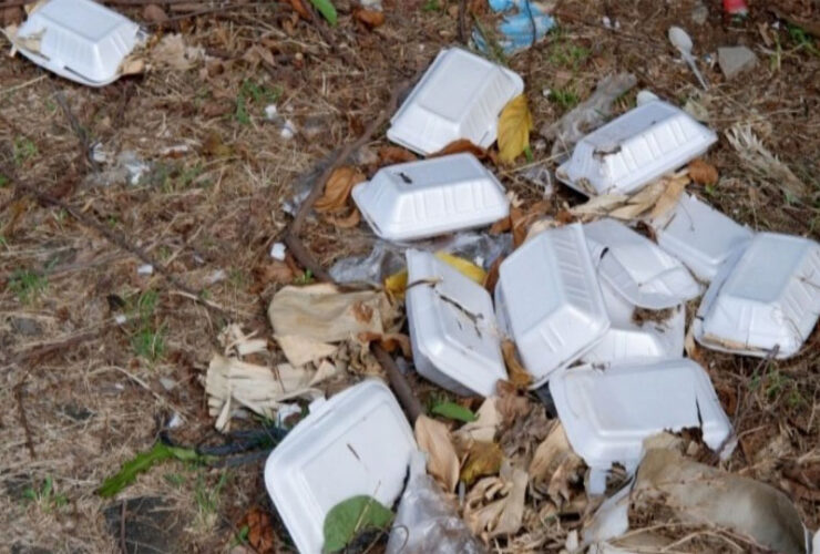 Lagos Government Bans Use of Styrofoam