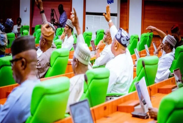 Nigerian lawmakers