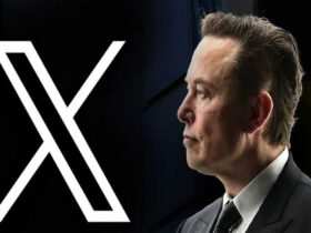 Elon Musk's X