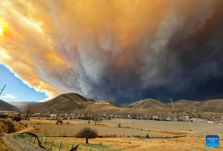 Forest fire breaks out in China's Sichuan Province