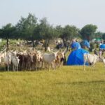 herders and farmers clash in Chad