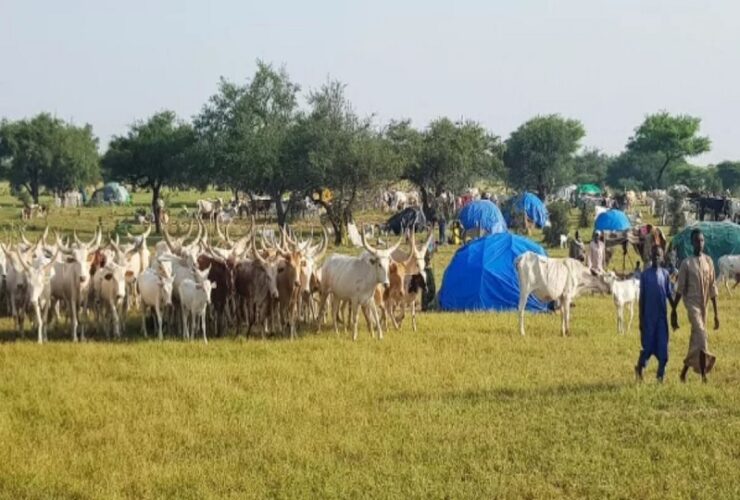 herders and farmers clash in Chad