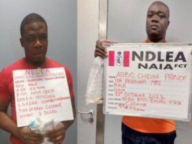 Two drug kingpins bag life jail terms