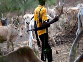 Many dead as suspected herdsmen invade community