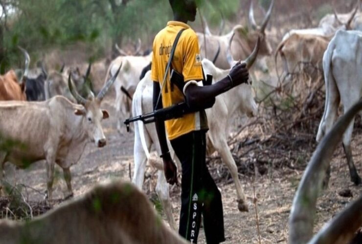 Many dead as suspected herdsmen invade community