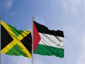 Jamaica Palestine