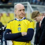 Swedish Football Association decides against controversial VAR