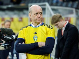 Swedish Football Association decides against controversial VAR