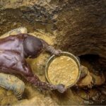 Billions in Gold smuggled out of Africa annually