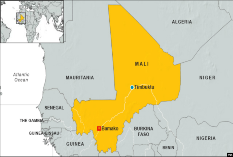 Mali's opposition forms exiled transition government