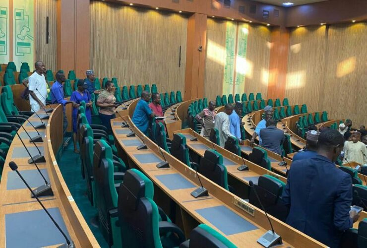 Nigerian House of Reps query investment commission