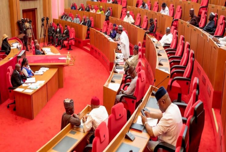 Nigerian Senate imposes death penalty for drug trafficking