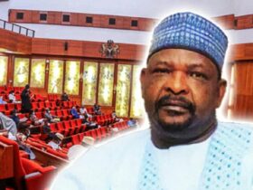 Nigerian senator suspended