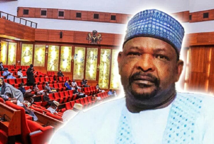 Nigerian senator suspended