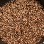 Orphanage in Congo introduces Protein-Rich Palm Weevil Larvae to combat malnutrition