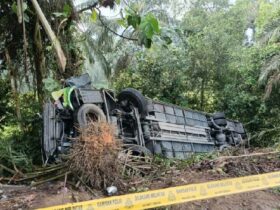 Bus lorry Malaysia