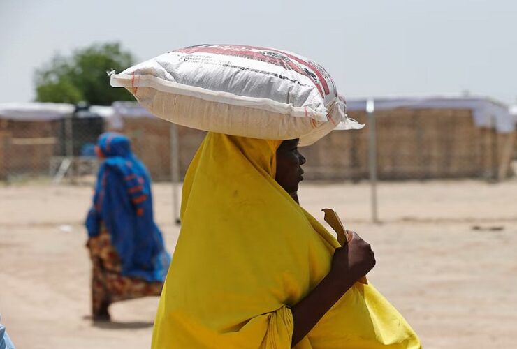 Northeast Nigeria to face severe hunger crisis as UN struggles to secure funding