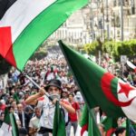 Algeria suspends art festivals in solidarity with Gaza