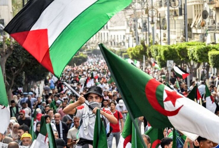 Algeria suspends art festivals in solidarity with Gaza