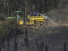 Six Firefighters dead two critically injured in South Africa bushfire - storms batter other regions