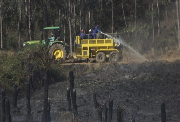 Six Firefighters dead two critically injured in South Africa bushfire - storms batter other regions