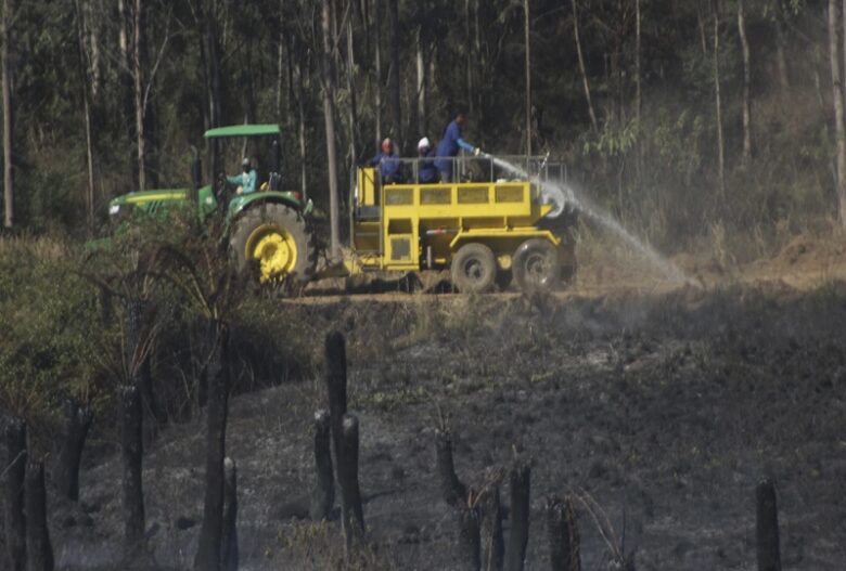 Six Firefighters dead two critically injured in South Africa bushfire - storms batter other regions