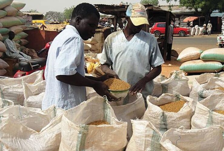 Nigerian government suspends taxes on maize wheat rice other staples