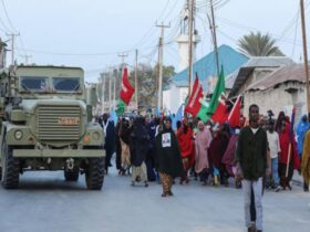 Car bomb kills 5 injures 20 in Somalia's capital as fans watch Euro 2024 final