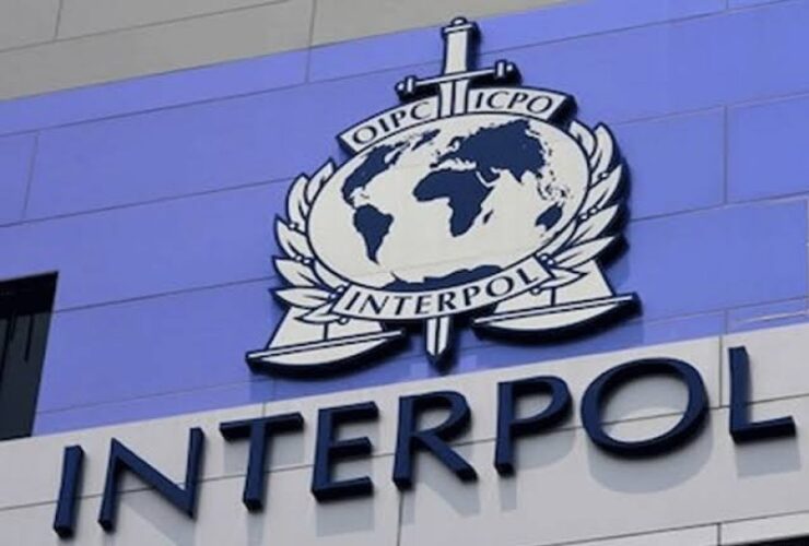 Interpol bank accounts