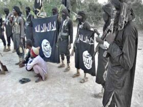 Nigerian courts Boko Haram