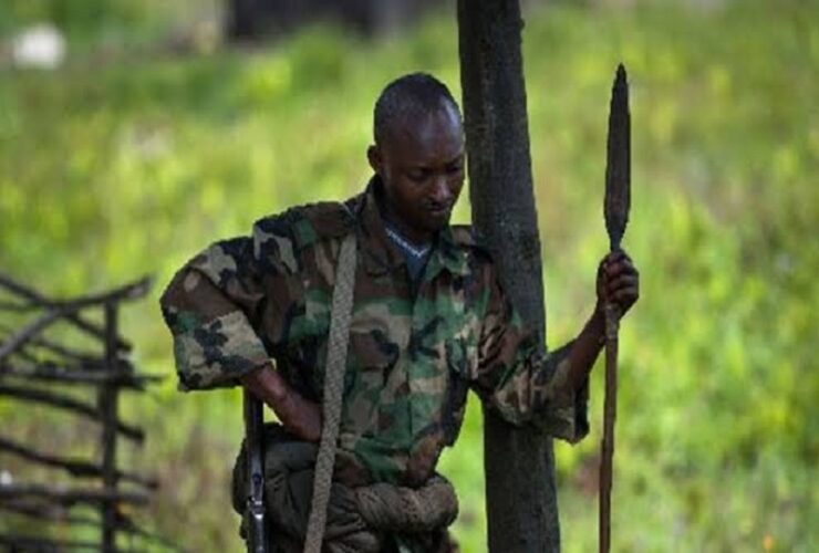 Uganda allegedly supports M23 rebels in eastern Congo amid rising conflict tensions