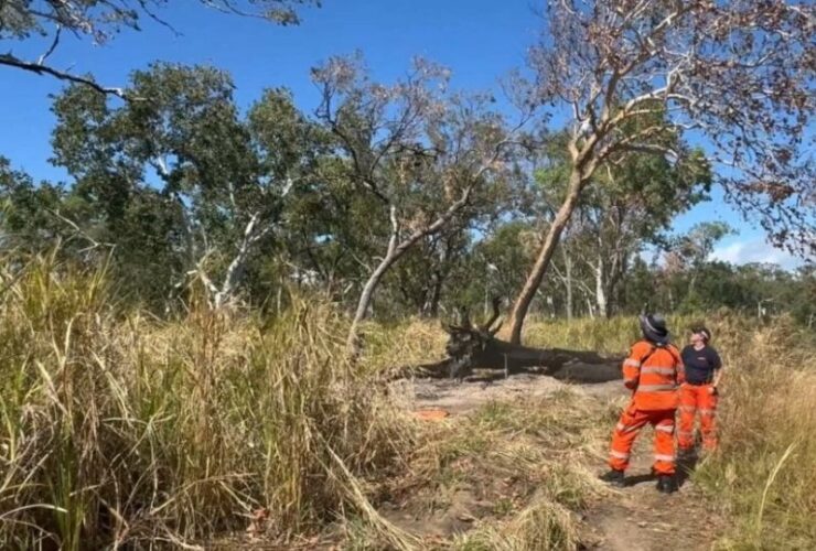 Missing Man Crocodile