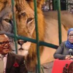 Tanzanian President Suluhu Hassan names ‘mischievous’ lion after opposition leader