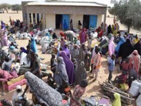 Saudi Arabia to support displaced persons refugees in Lake Chad region