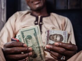 5 African countries among 10 worst-performing currencies globally over economic challenges