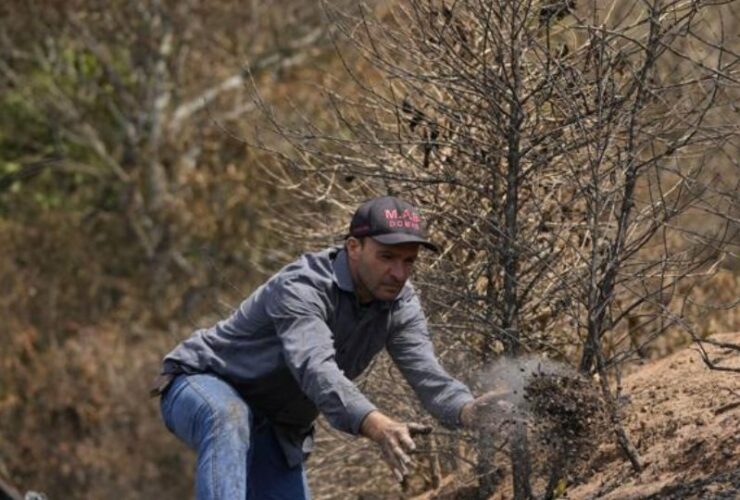 Worries grow over price hike as drought in Brazil hits coffee farms