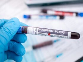 Rwanda reports first cases of Marburg disease as health investigation begins