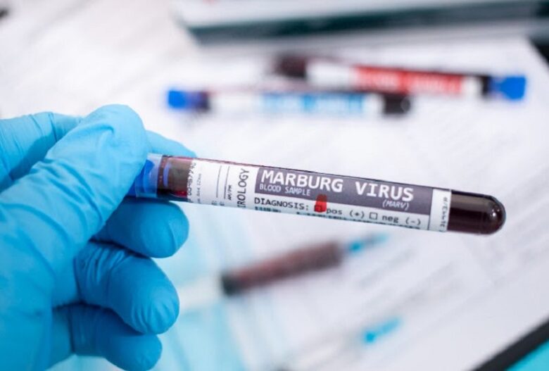 Rwanda reports first cases of Marburg disease as health investigation begins