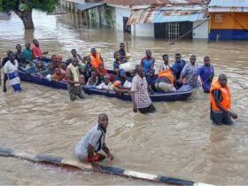 EU supports Nigeria Chad four others with €5.4 million