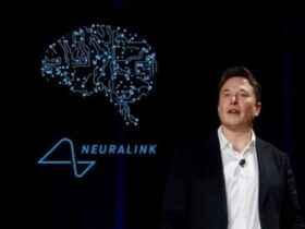 Elon Musk's brain chip