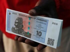 Zimbabwe's new Gold -back Currency