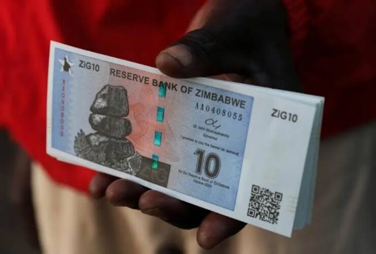 Zimbabwe's new Gold -back Currency