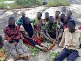 Troops rescue 13 Kidnap victims from bandits’ hideout in Northern Nigeria