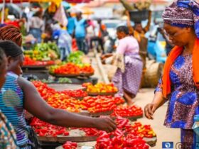 Nigeria’s inflation rate falls to 32.15% for the second consecutive month