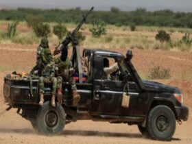 Niger arrests 245 terror suspects amid fight against insurgency